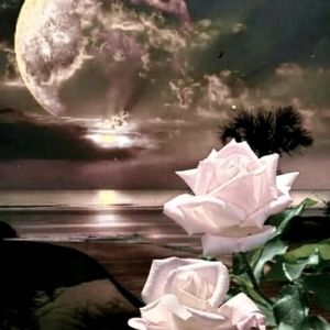 Meet your Posher, Rose and Moon